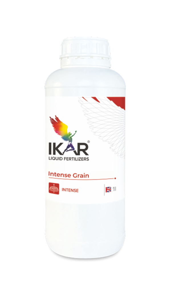 IKAR  INTENSE GRAINE / ІНТЕНС ЗЕРНОВИЙ