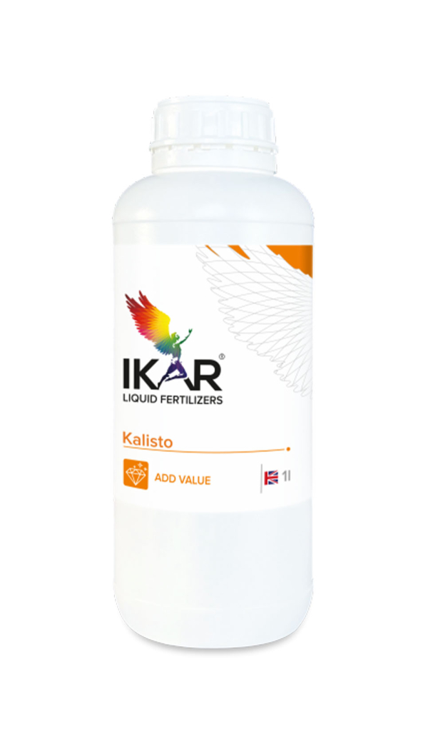IKAR KALISTO / КАЛІСТО
