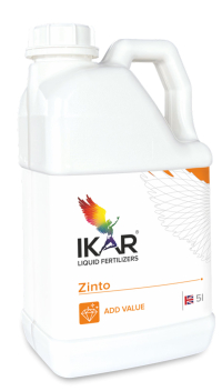 IKAR ZINTO / ЗІНТО